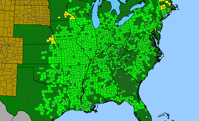 The range of Arisaema dracontium